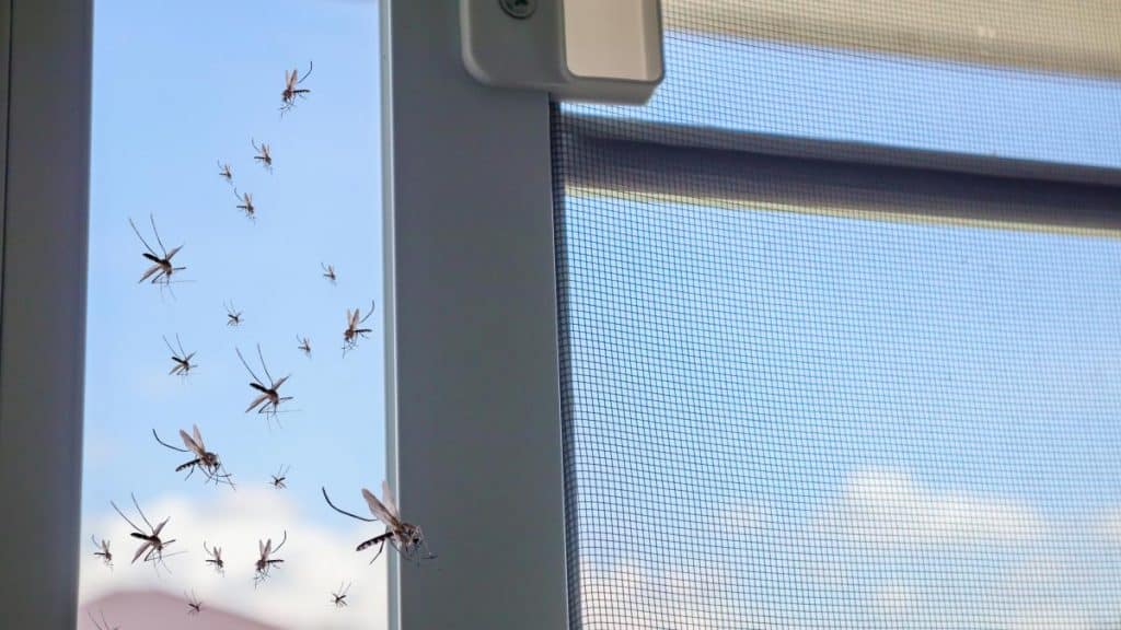 Mosquiteras-para-protegerse-de-insectos